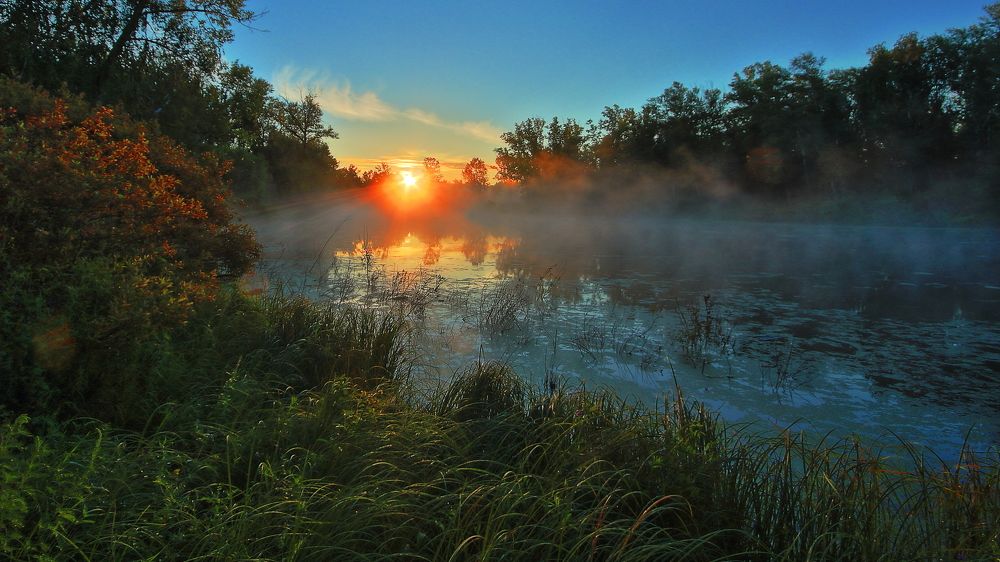 Утренний туман