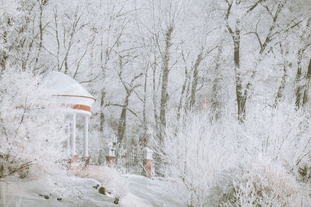 Зимние кружева