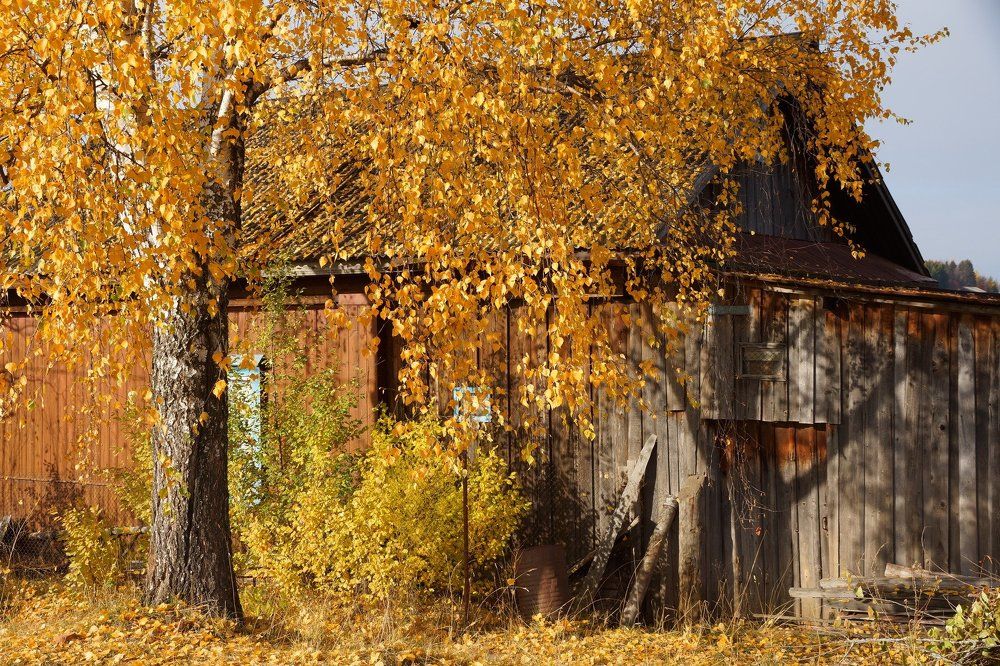 Осень в деревне