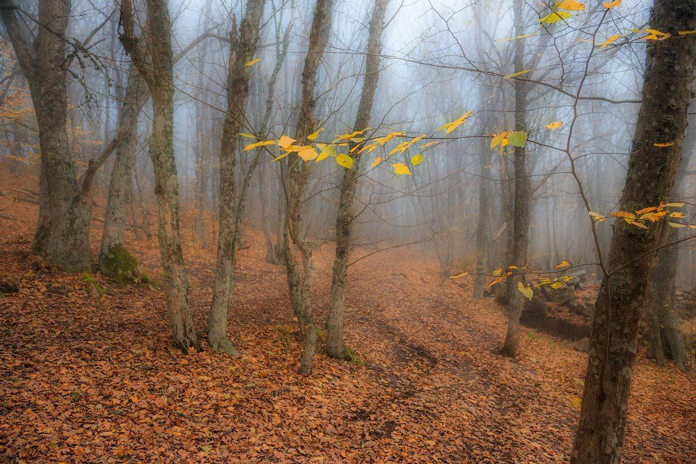 Осенний этюд