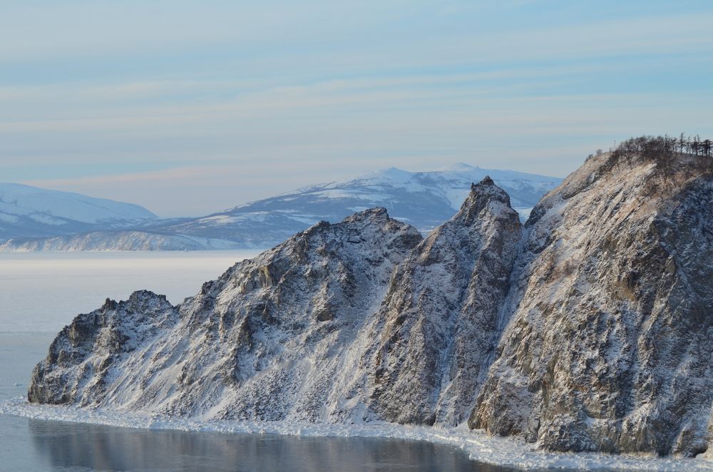 Спящая красавица