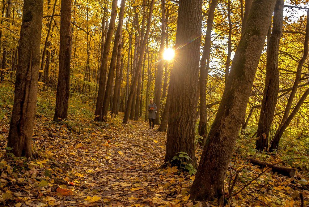 Осенняя прогулка