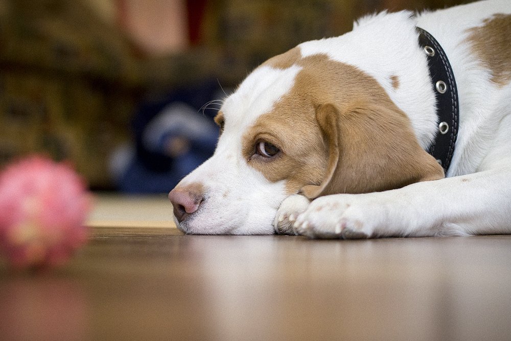 Photograph by Евгений Рыжиков