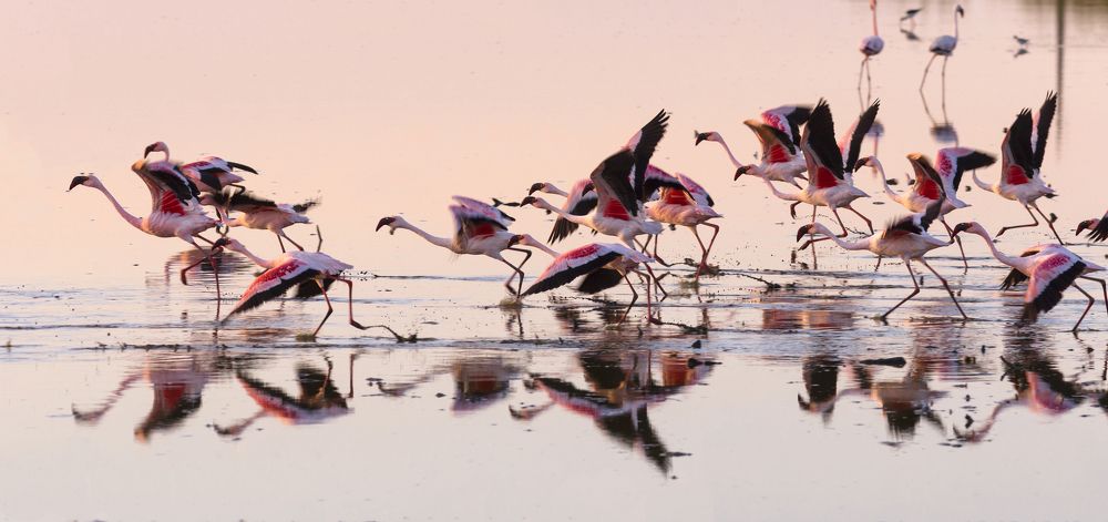 Ключ на старт