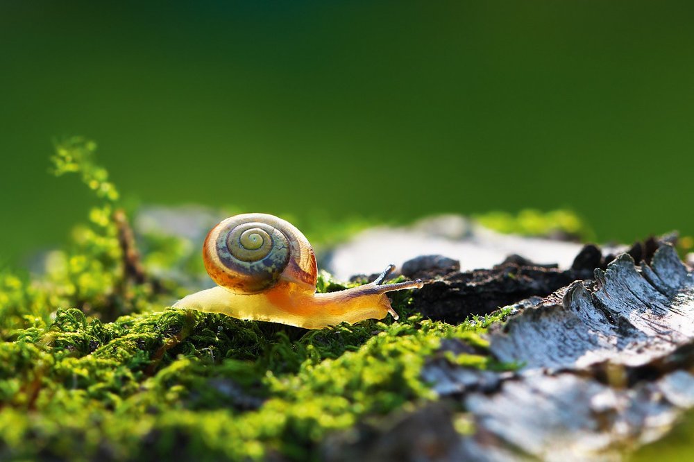 Тёплый вечер