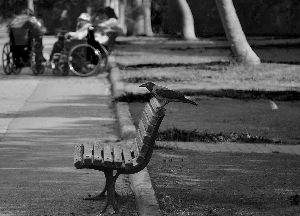 Photograph by Яков