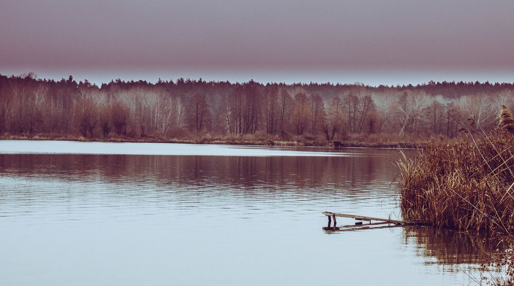 В ожидании зимы...