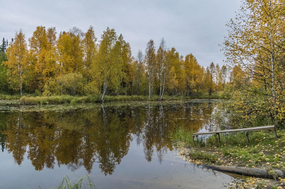 Цвета осени в отражении...