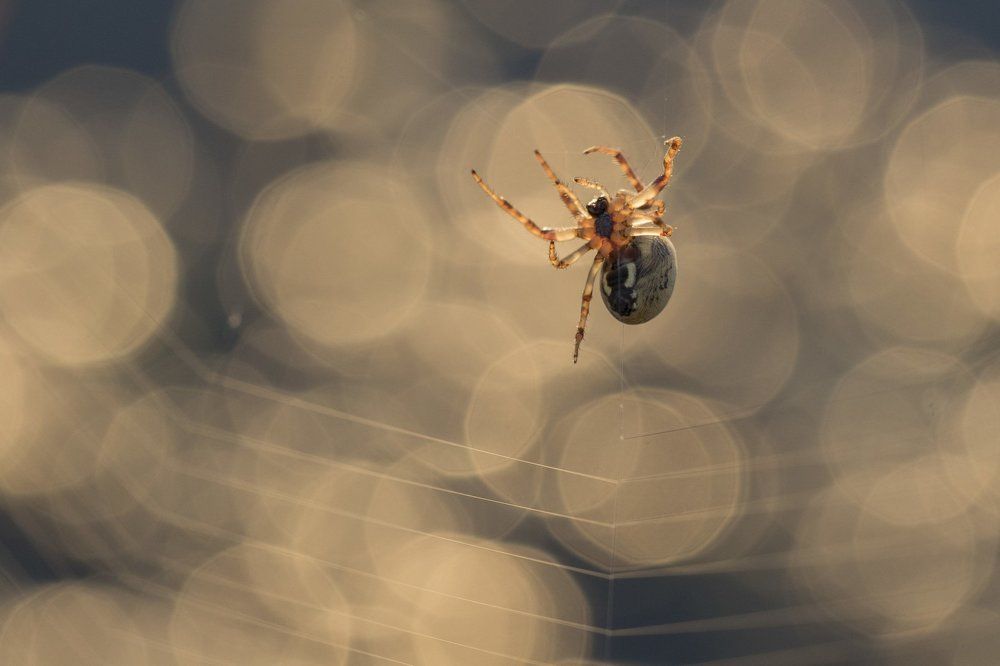 Photograph by Desislava Todorova