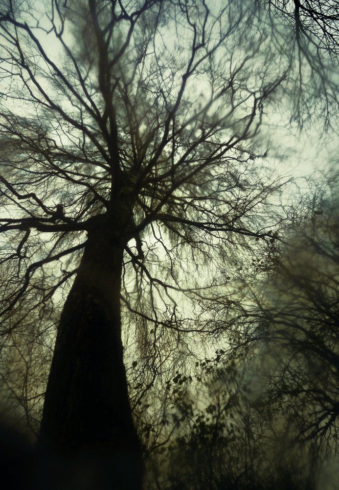 Photograph by Елена Ржевская