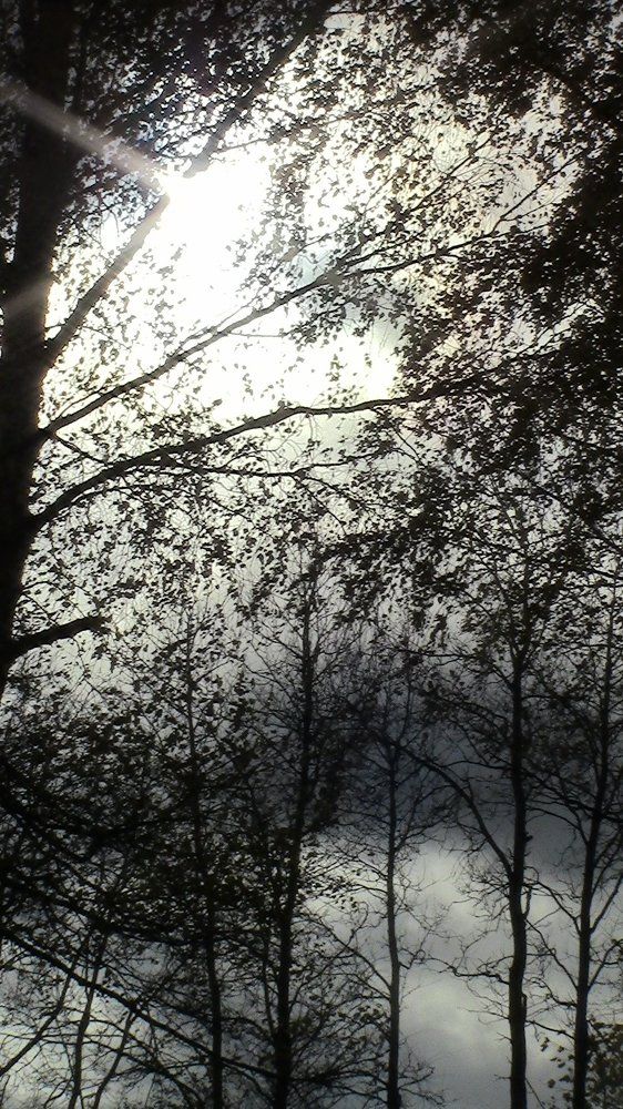 Скоро зима.