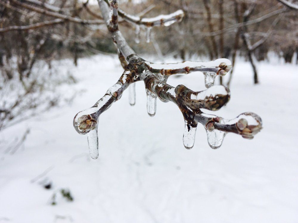 Ледяное царство.