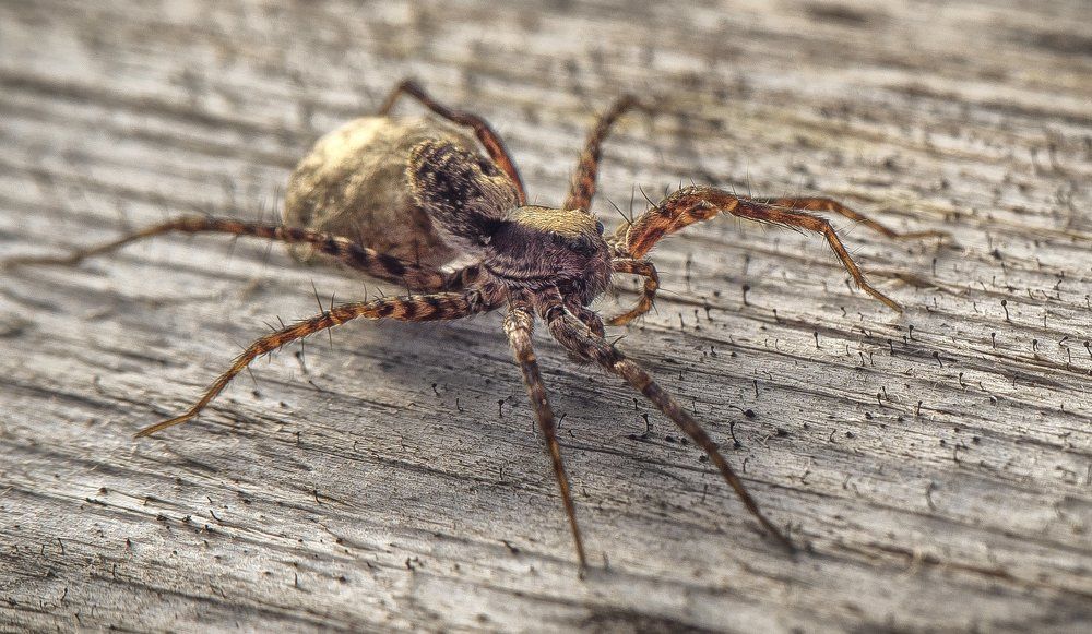 Photograph by Andrey Rut