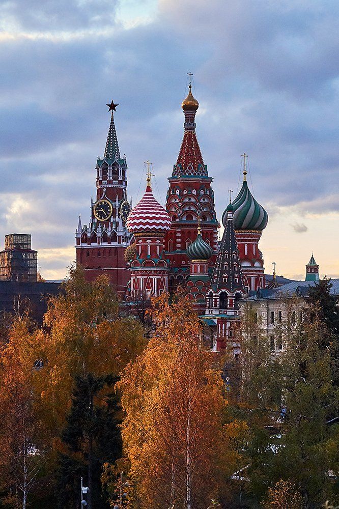 Без названия.