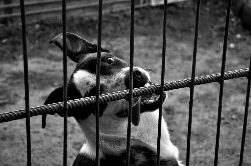 Photograph by Армен Арутюнов