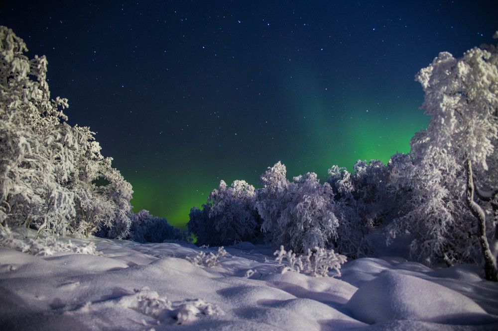 Завораживающая осень на севере