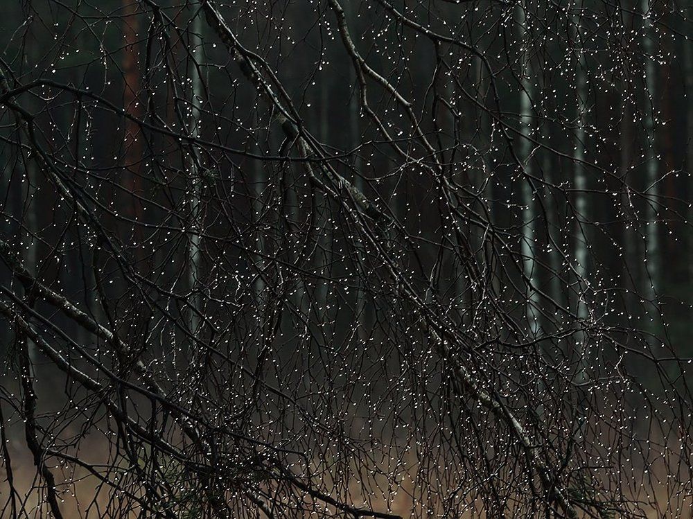 Капли Датского короля пейте кавалеры