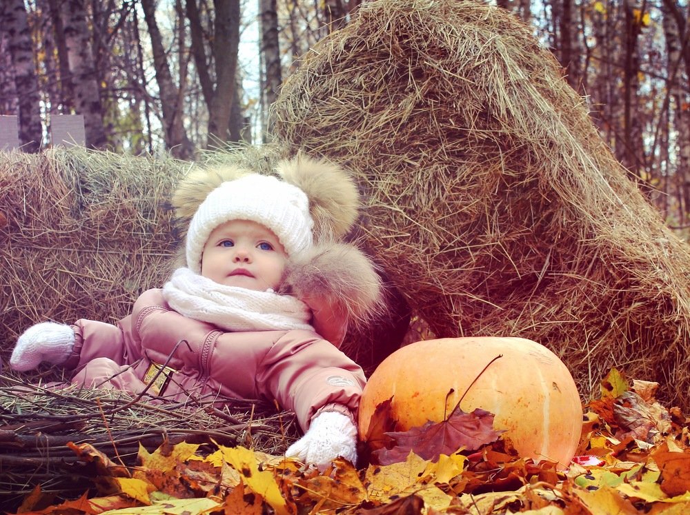 Провожая стаю детства