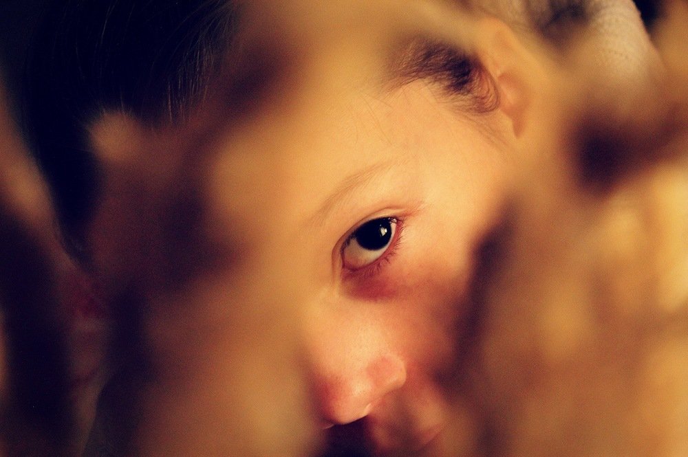 Взгляд сквозь время