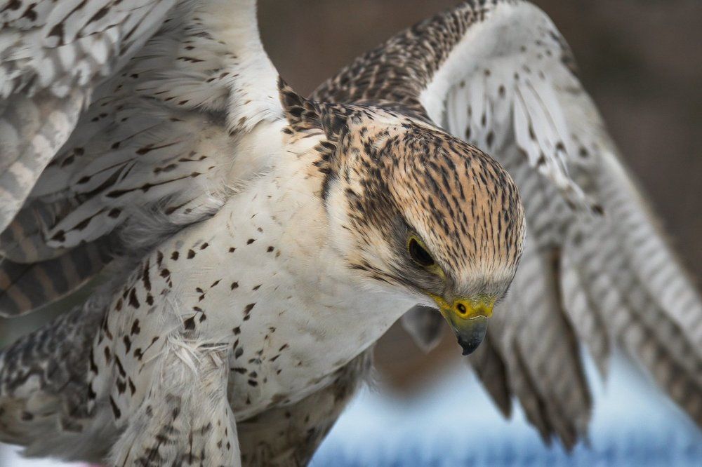 Photograph by Валентин Кольцов