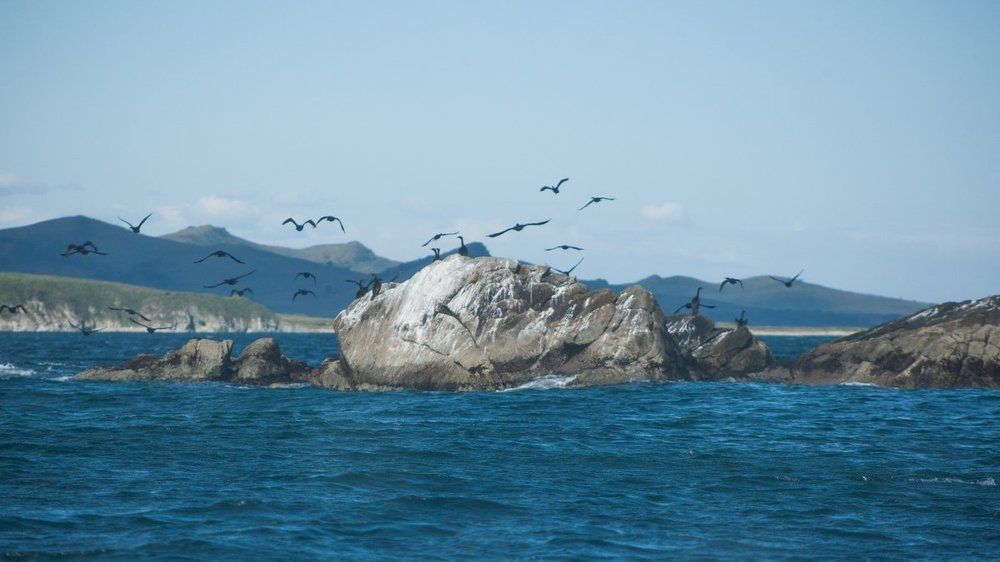 Photograph by Валентин Кольцов