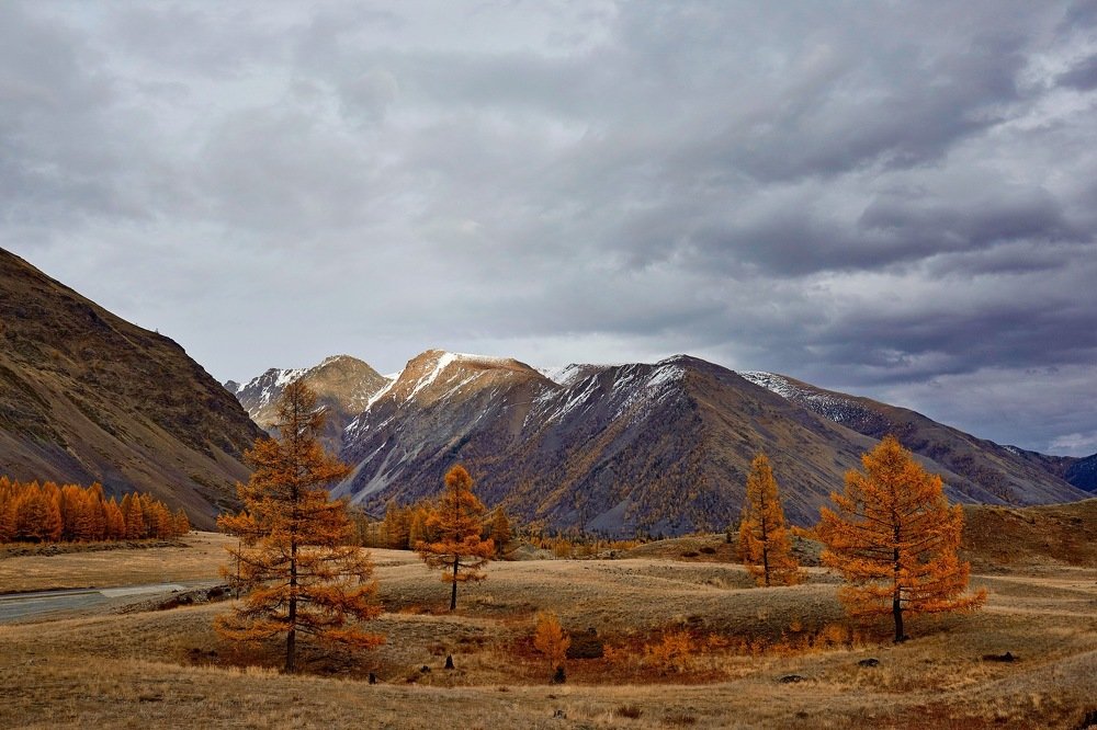 Алтай. Последний день осени.