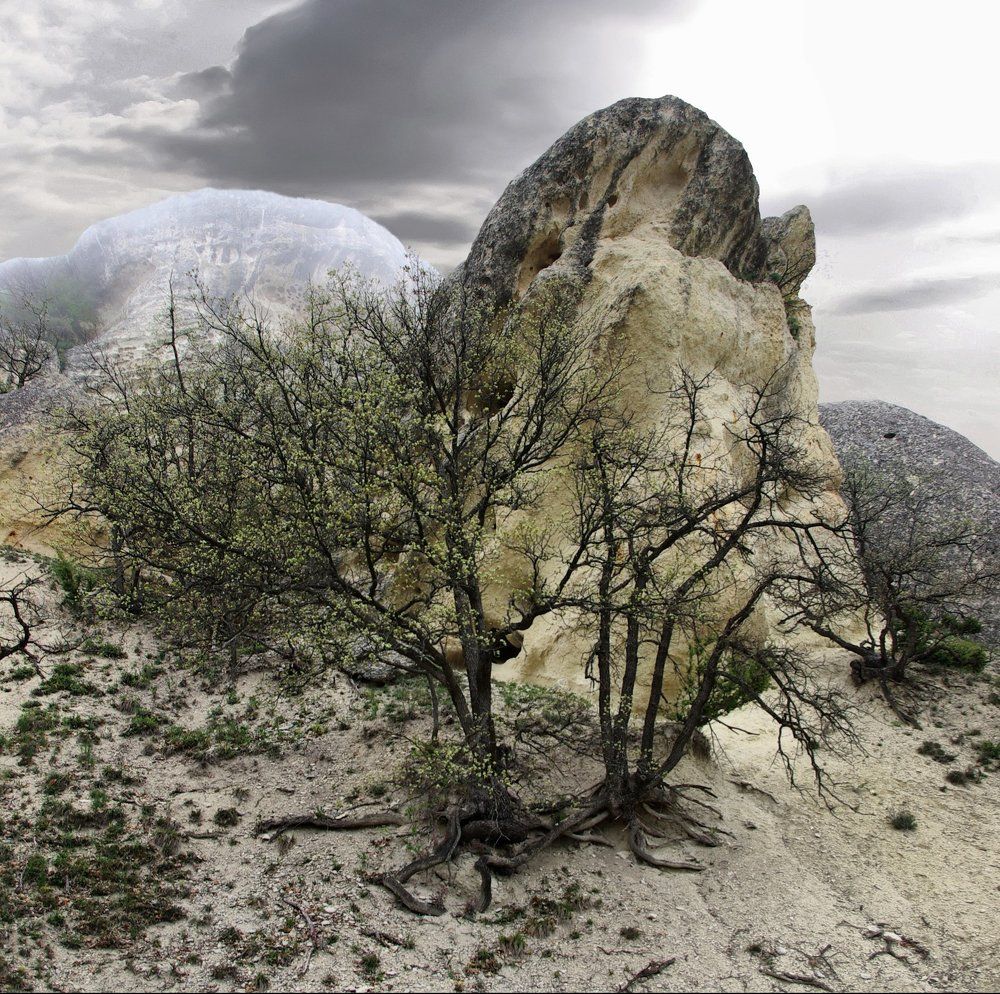 Photograph by Sergey