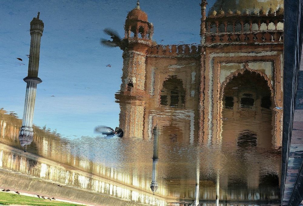 Reflection of passion - Romance