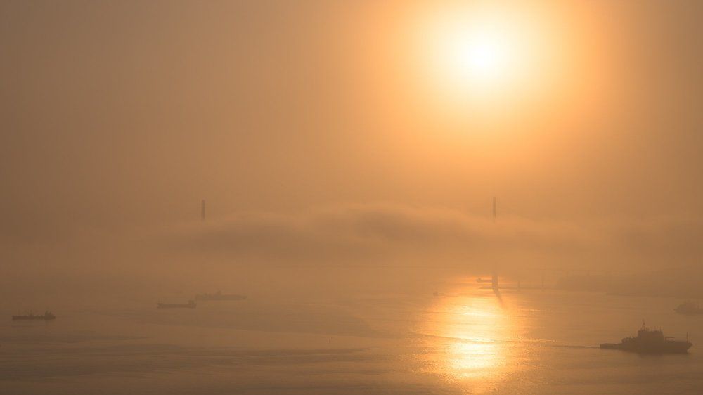 Photograph by Валентин Кольцов