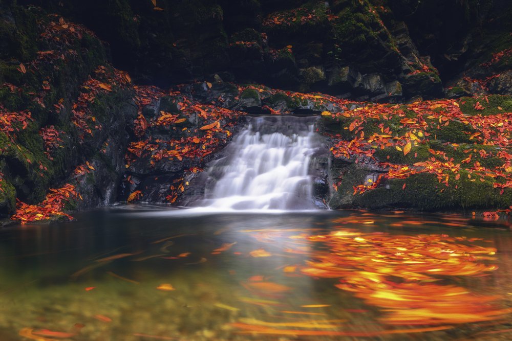 Водопады реки Сванидзе