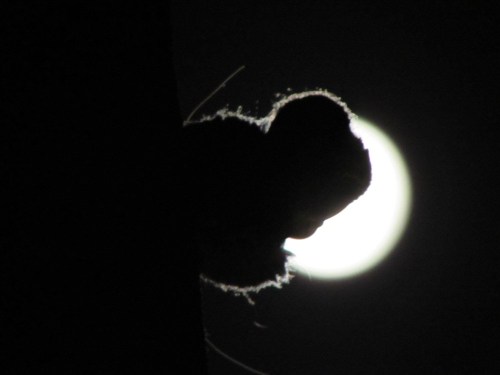 Full moon day