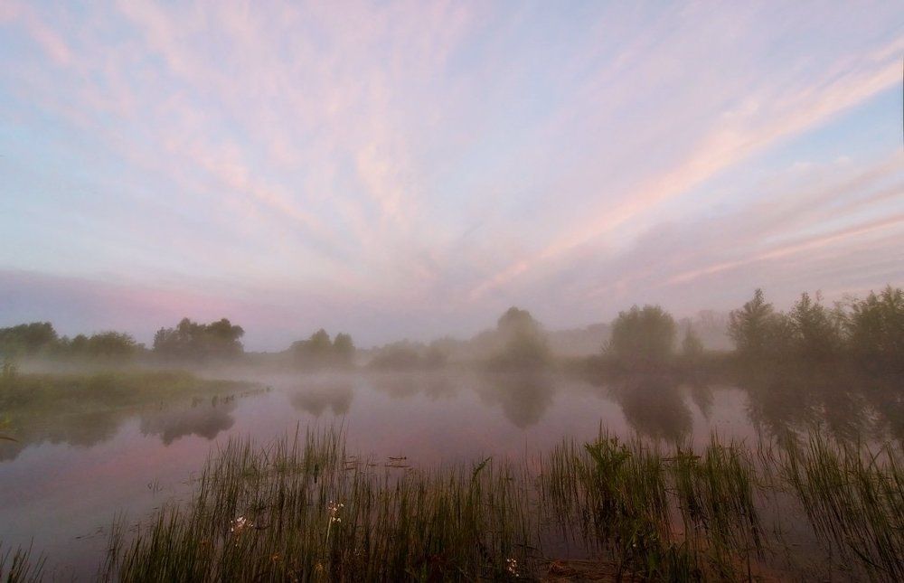 над озером туман.
