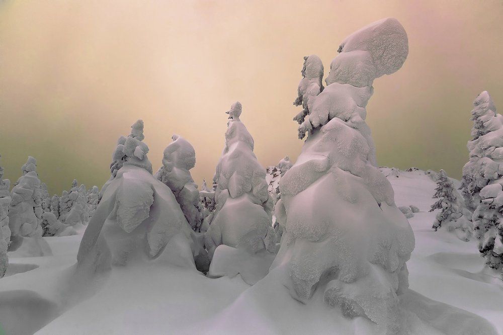 Дама с собачкой