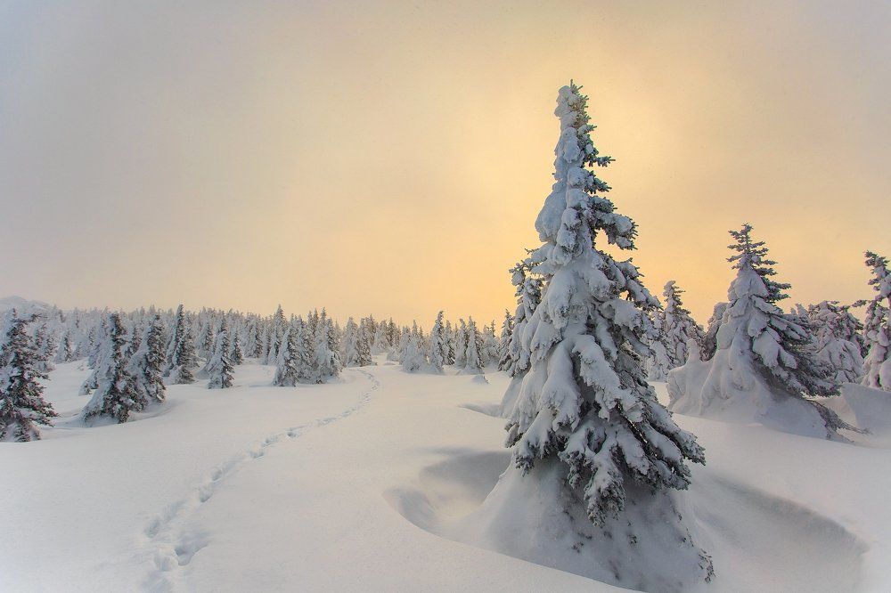 Утро в горах Урала