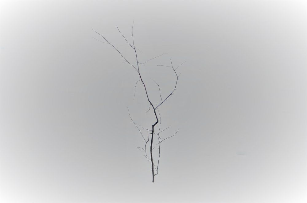 одиночество