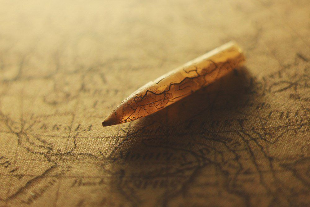 Ростр белемнита