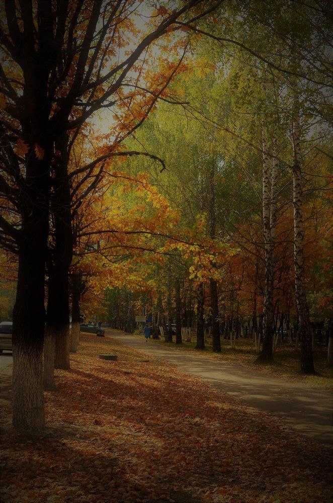 осенние краски