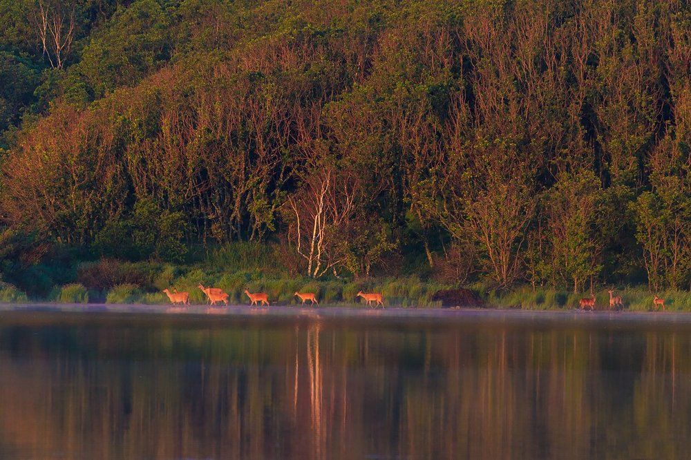 Природная идиллия