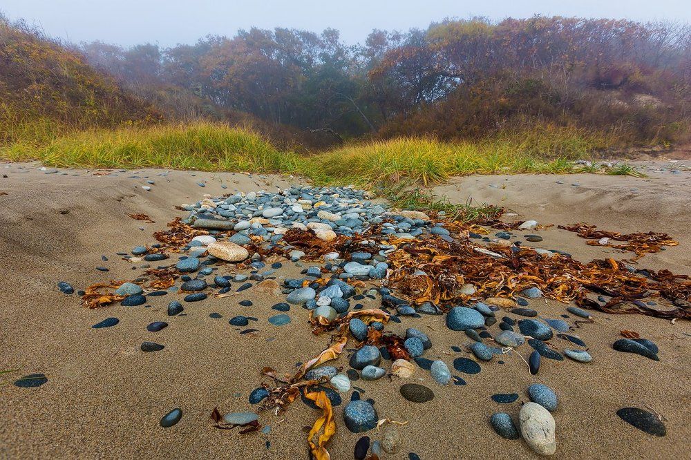 Камни бухты Удобная