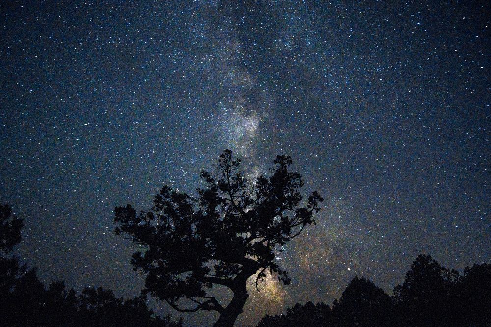 Photograph by Бадаев Антон