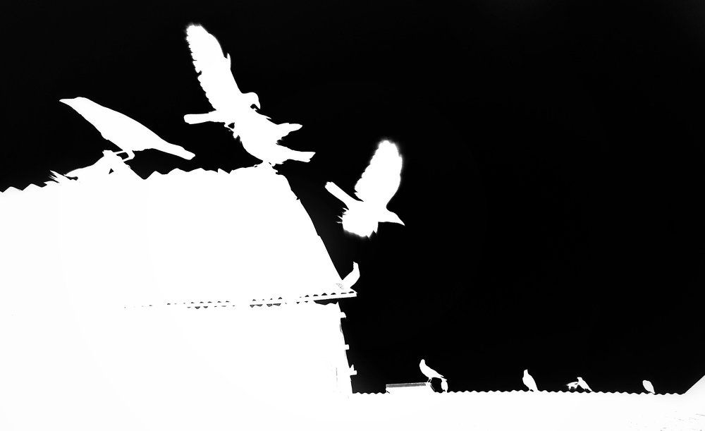 Photograph by Mohammad Mushfiqur Rahman