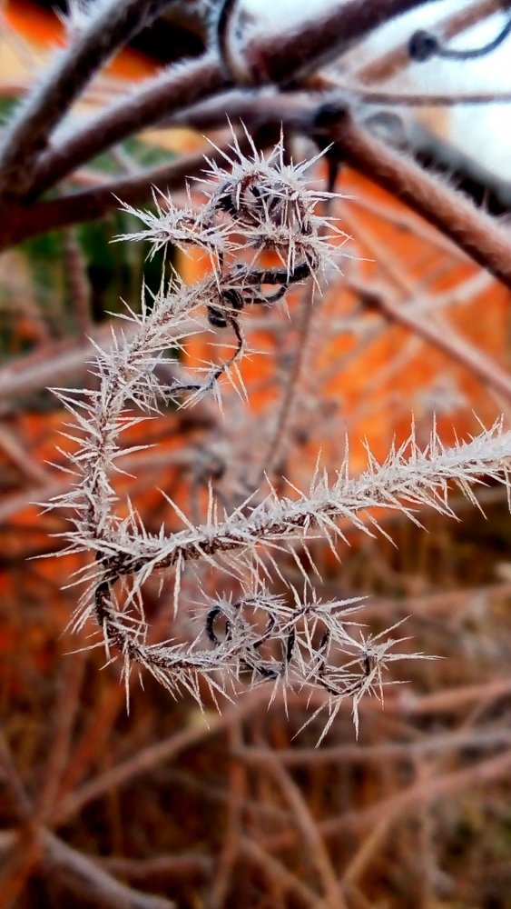 Photograph by Михалевич Машка