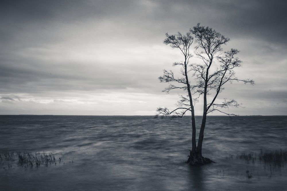 Закат на Финском заливе