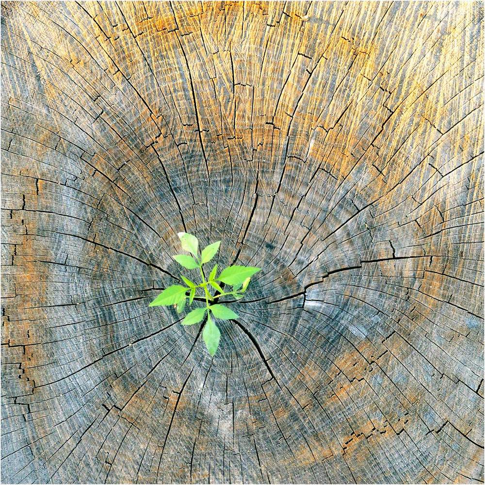 Photograph by Aeromast