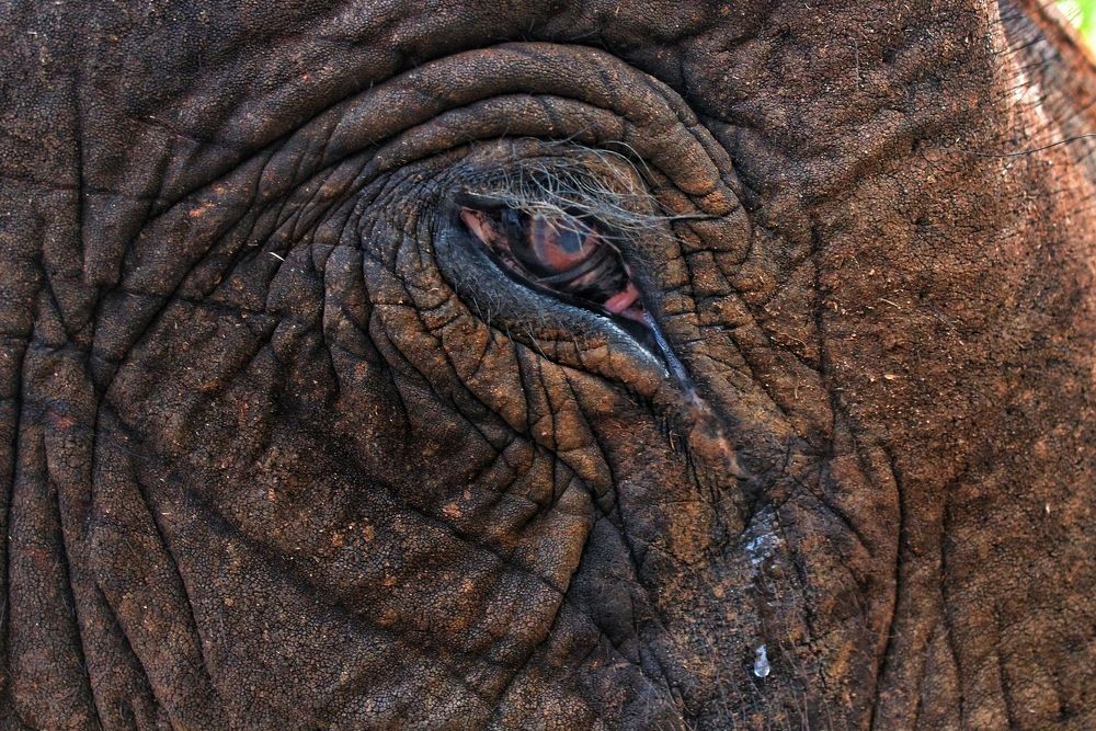 There is Story behind everyone