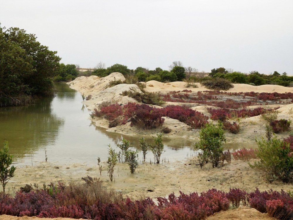 Rainbow of colors in the desert