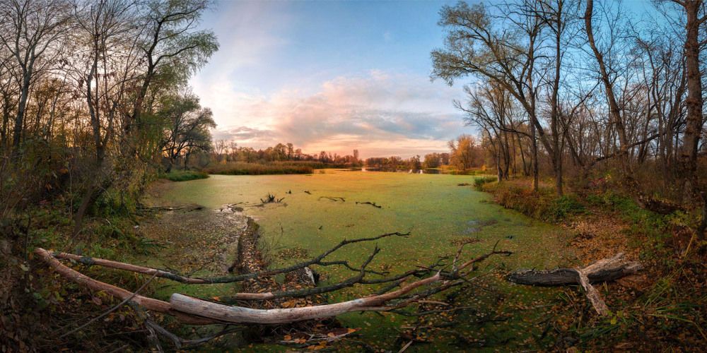 Уходящий  октябрь