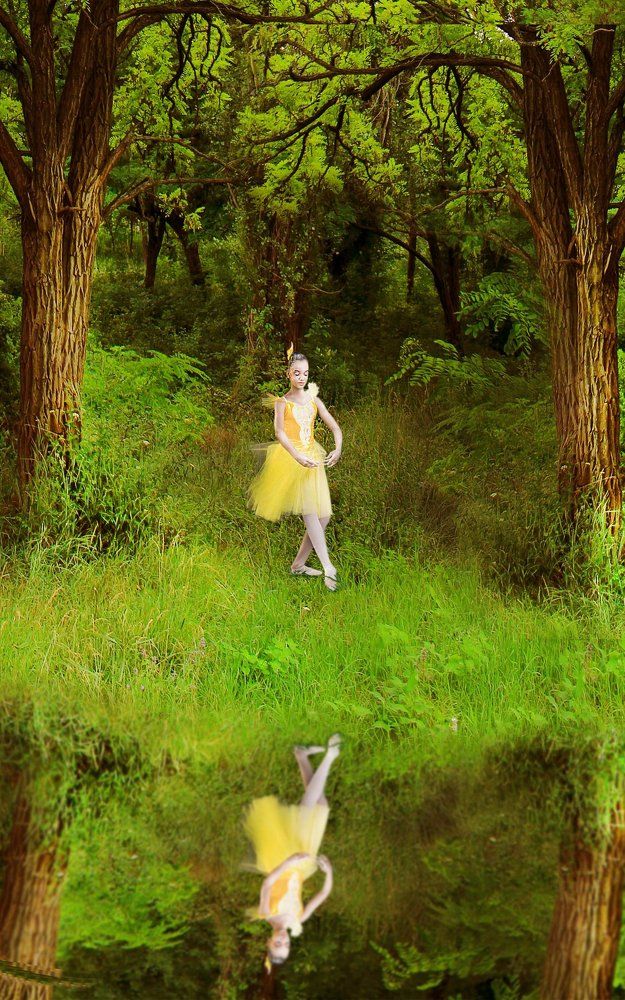 Лесной балет