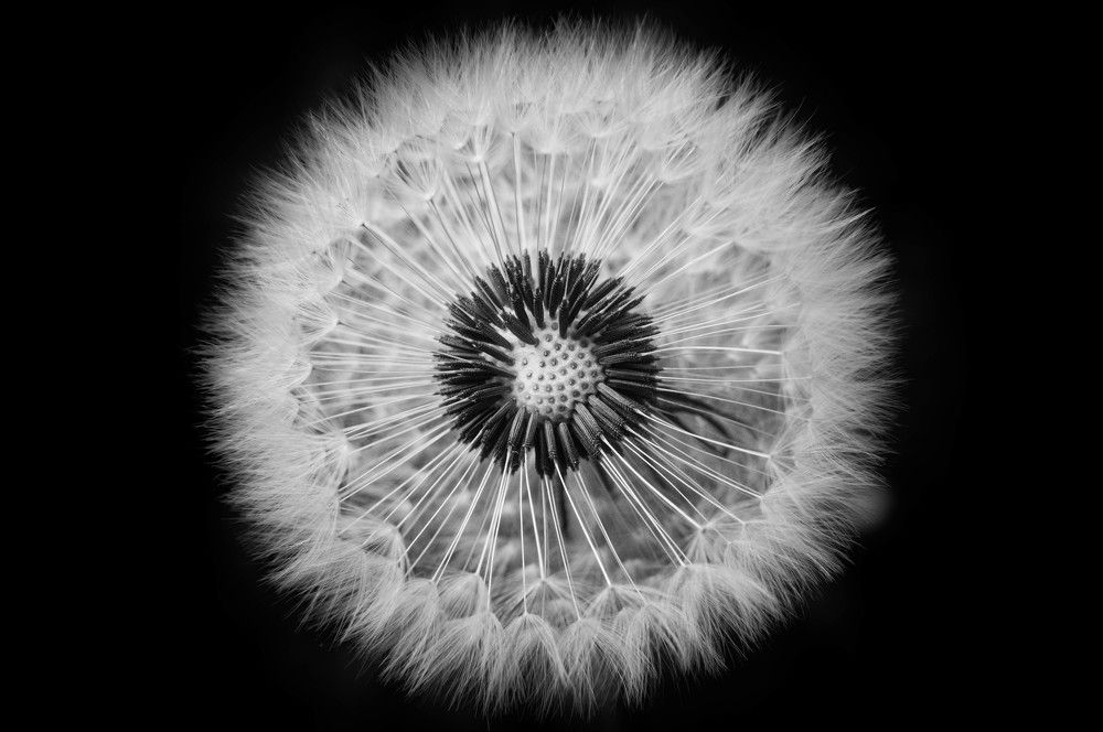 Photograph by robin alin