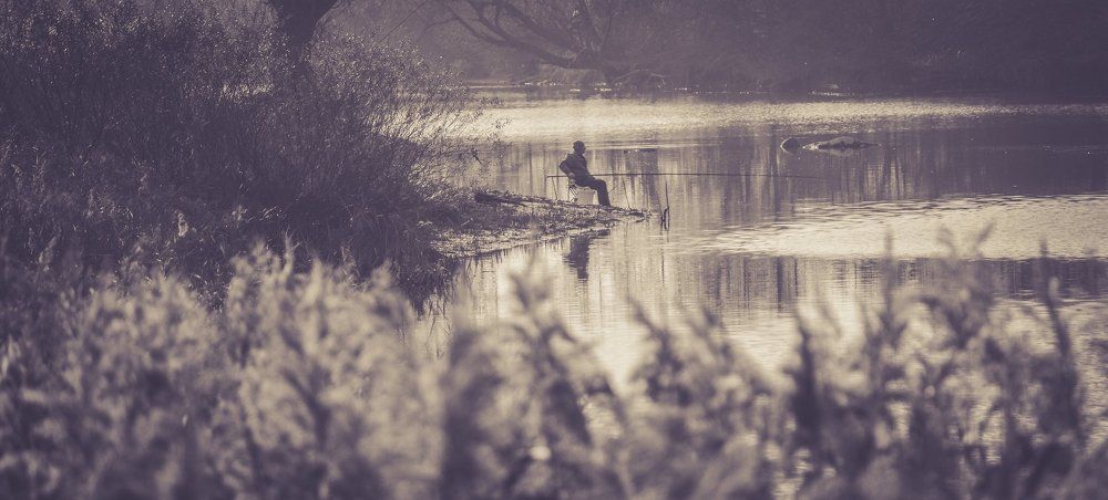 Photograph by robin alin